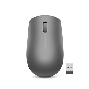 Souris sans fil MF 530A